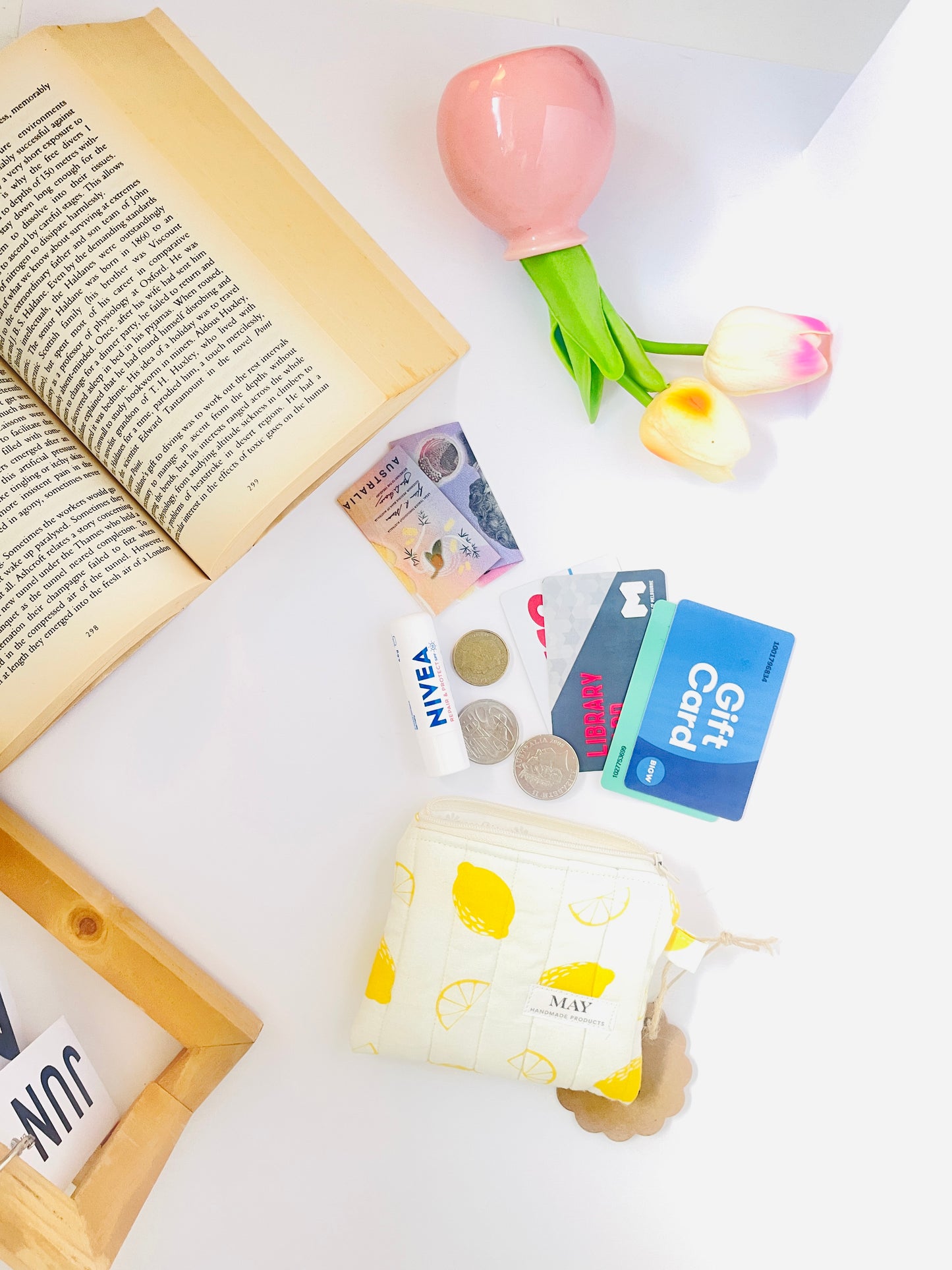 BOTANIQ COIN POUCH